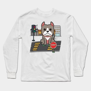 Cute grey dog is skate boarding on the street Long Sleeve T-Shirt